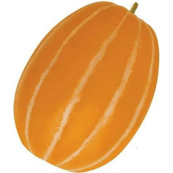 10 Korean Melon Seeds - Rare Orange Skinned Melon - Dae Jang Geum