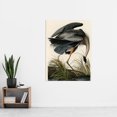 thumbnail image 2 of Audubon Birds Great Blue Heron Painting Extra Large XL Wall Art Poster Print, 2 of 3