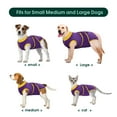 thumbnail image 5 of Kuoser Dog Surgical Recovery Suit Dogs Cat Onesie after Surgery,Purple,XXL, 5 of 8