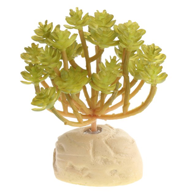 Acuario Tanque De Peces Plantas Submarinas Terrario Paisaje Decoración 12x10.5x6cm Sunnimix Adorno de acuario