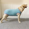 thumbnail image 5 of HQREA Dog Recovery Suit Post Surgery Shirt for Female Male Dog, E-Collar Alternative Clothes, 5 of 6