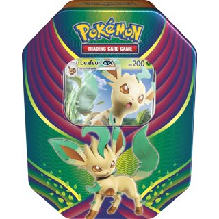 Eevee Pokemon, Loja UsaArtes