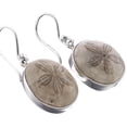 thumbnail image 2 of Sea Star Sand Dollar Fossil 925 Sterling Silver Earrings, 13/16", 2 of 3