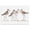 Sandpiper Gathering Shoreline, variant on Stupell Industries Sandpipers Shore Reflection Animals Painting Black Floater Framed Canvas Art Print Wall Art, 25 x 17