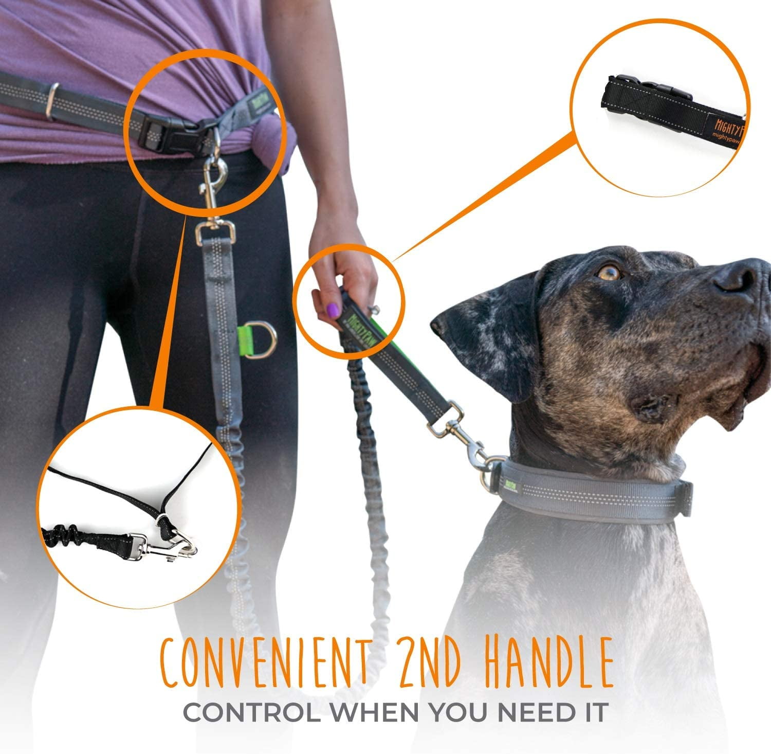 Premium Running Dog Leash Lightweight Reflective Bungee Dog Leash Mighty Paw Hands Free Dog Leash