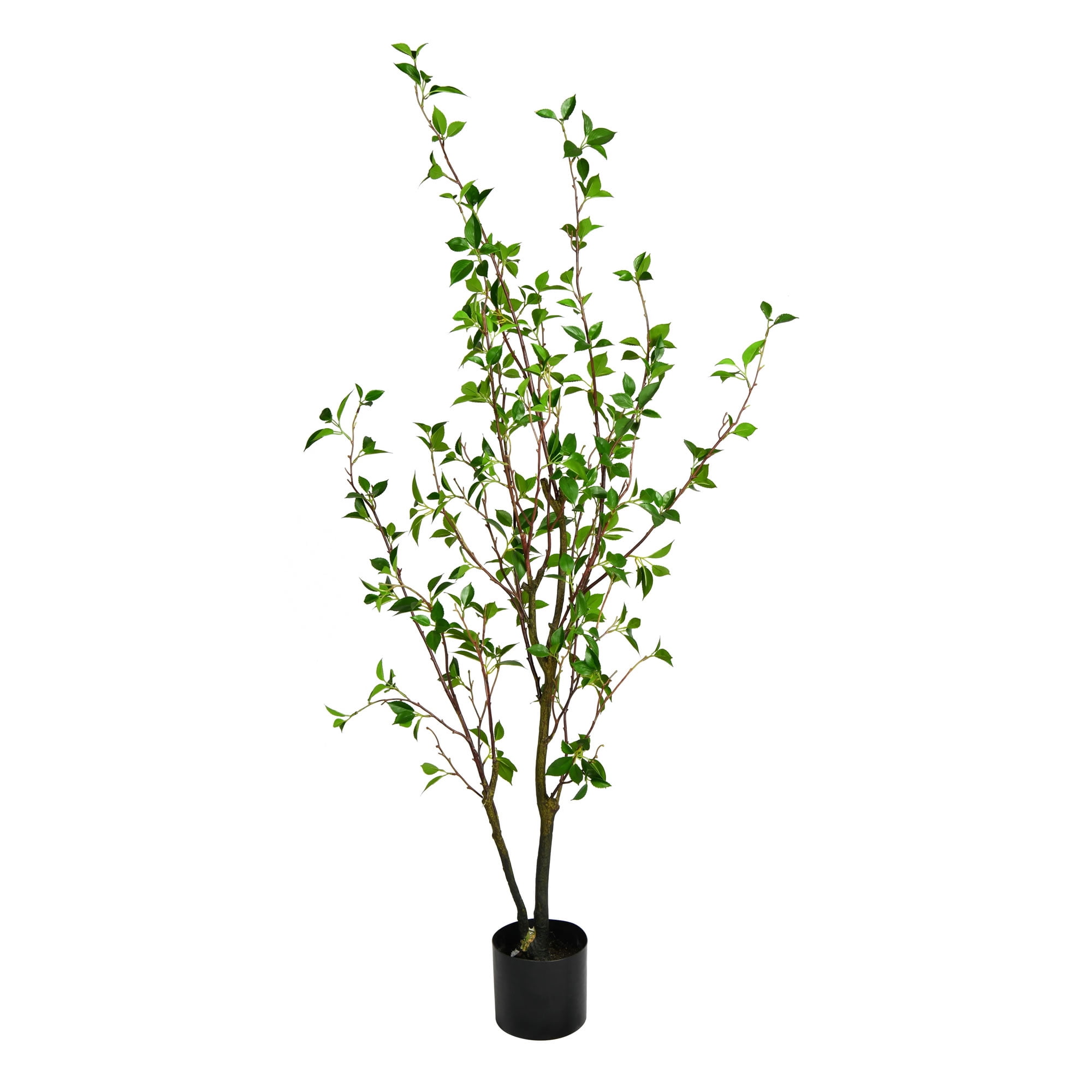 Vickerman 60" Artificial Potted Baby Leaf Tree in Black Planters Pot.
