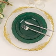 thumbnail image 6 of BalsaCircle 10 Round 10" Hunter Green Disposable Salad Dinner Plastic Plates Embossed Scalloped Trim Party Events Tableware, 6 of 8
