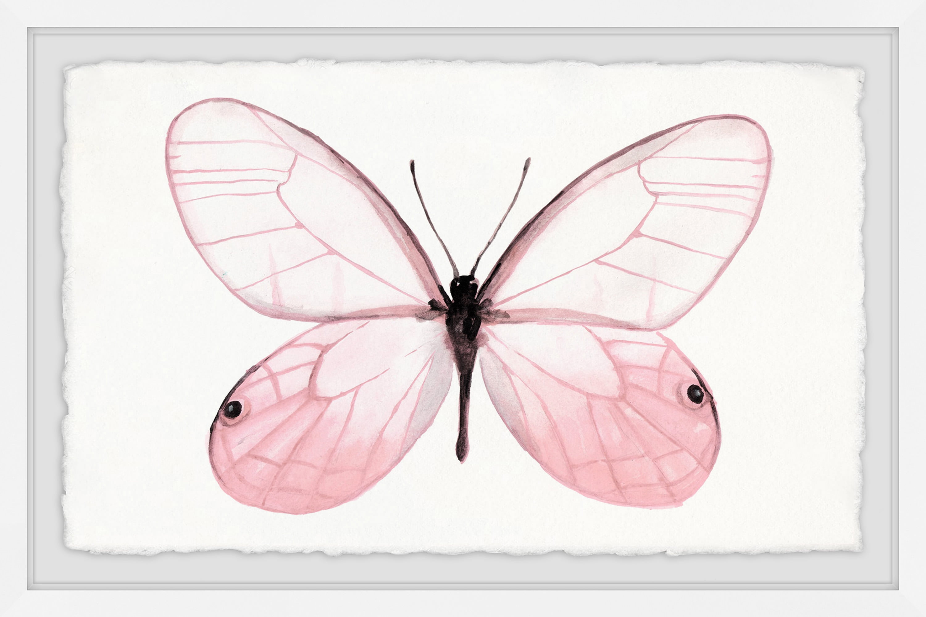 Pink Butterfly Beauty Framed Painting Print
