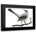 thumbnail image 1 of Murdock, Ramona 24x17 Black Modern Framed Museum Art Print Titled - Bird VII, 1 of 5