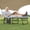 Gray, variant on Homall Outdoor Lounge Chair, Foldable Patio Chaise Lounge Chair with Adjustable Height, Comfortable Mattress, Portable for Beach, Lawn, Pool, and Backyard, Black