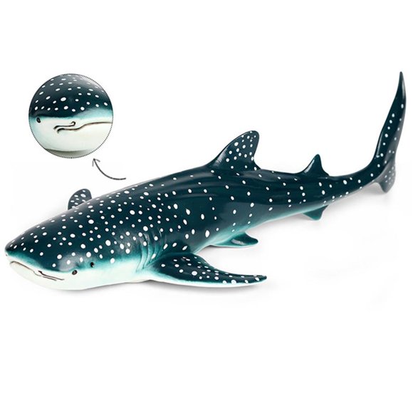 yingyy Simulation Marine Animal Model Shark Big Humpback Big Right Toys No.2