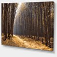 thumbnail image 2 of Light in the Forest Path Panorama - Impression sur Toile Forêt, 2 of 4