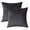 Charcoal, variant on Alchemic Living Set of 2 Black Luxurious Soft Velvet Rectangle Pillow Covers 20x30 Inch (50x75 CM) - Solid Decorative Concealed Zipper Cushion Covers for Sofa, Couch, Living Room