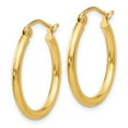 thumbnail image 3 of 14K Yellow Gold Women's Medium Lightweight Tube Hoop Earrings, 3 of 4