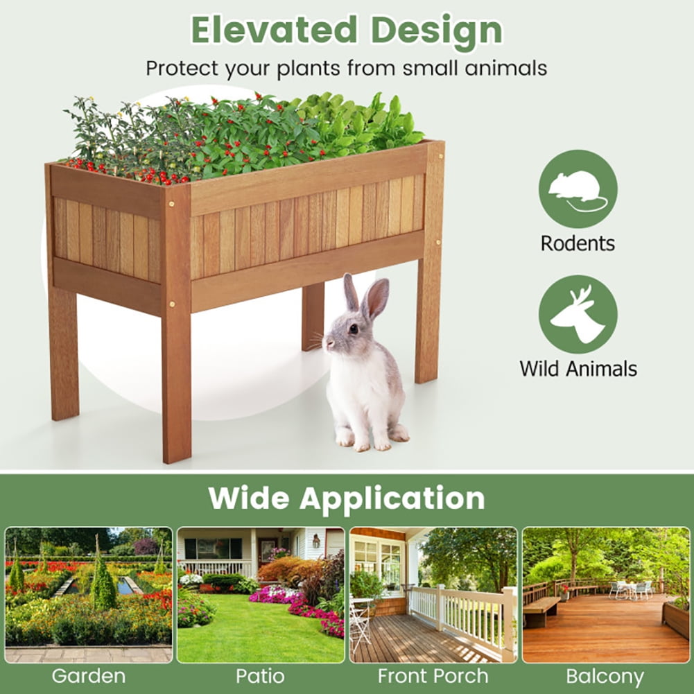 Kadyn Wooden Raised Garden Bed Solid Wood Elevated Planter Box with Legs
