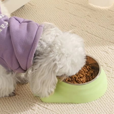 Raised Cat Bowls Elevated 15 Degree Tilted Food Bowl Set 7PCS Stainless Steel Pet Feeding Dishes for Cats Small Dogs Anti-Spill Neck Protector Feeder Green