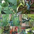 thumbnail image 5 of 40 Uds. Clips para plantas de jardín (2 tamaños), Clips reutilizables para plantas de soporte de jardinería para invernadero, 5 of 5