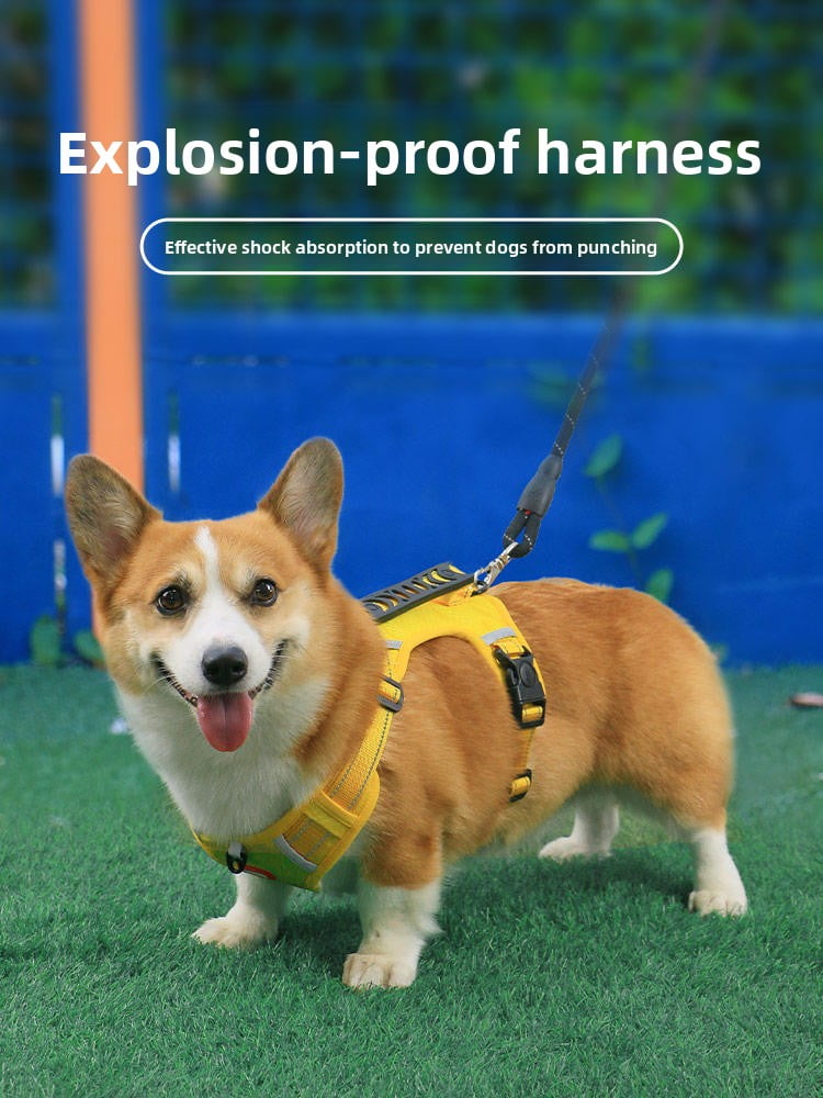 No-Pull Dog Harness & Leash Set - Reflective Padded Vest for S/M/L Dogs, Breathable Mesh with Control Handle for Walking/Running