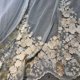 thumbnail image 3 of European Embroider Luxury White Tulle Sheer Curtains for Living Room Dining Bedroom Heavy Mbroidery Flowers Lace Cortinas Window, 3 of 5