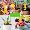 thumbnail image 4 of QARUN 64 Pcs Sticky Traps for gnat,Yellow Sticky Fruit Fly Traps for Indoors Plants,Indoor Safe for Gnat,Fruit Fly,White Fly,Aphid,Leaf Miner, 4 of 7