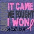 thumbnail image 3 of CafePress - Breast Cancer Survivor 2 T Shirt - Womens Tri-blend T-Shirt, 3 of 4