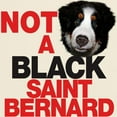 thumbnail image 4 of CafePress - It's A Bernese Mountain Dog Light T Shirt - Light T-Shirt - CP, 4 of 5