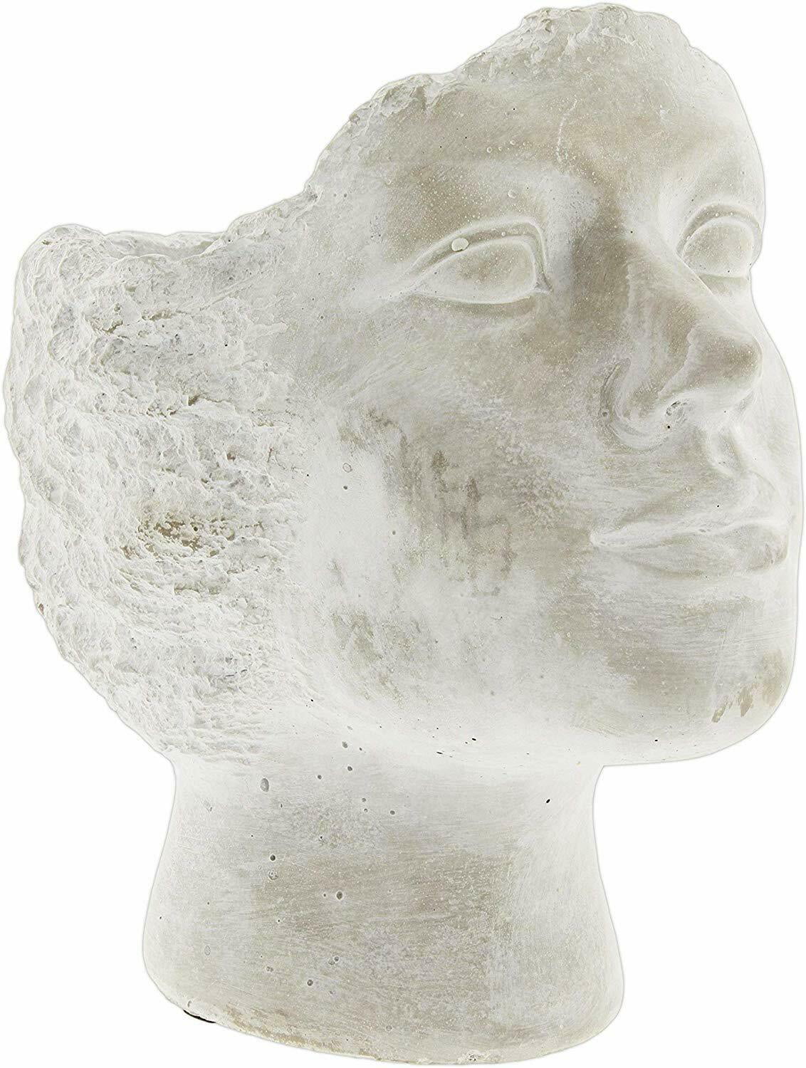 9.5" Tall by Hill's Park Whitewashed Cement Stone Statue Head Planter 