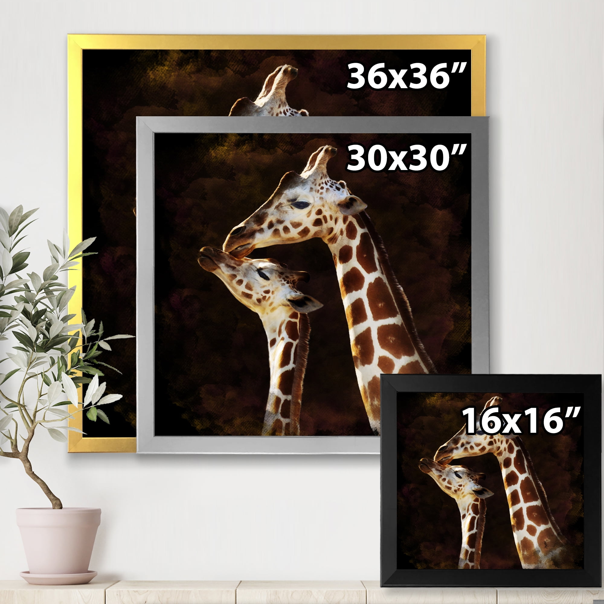 Designart 'Close UP Of Two Giraffes Kissing I' Farmhouse Framed Art Print