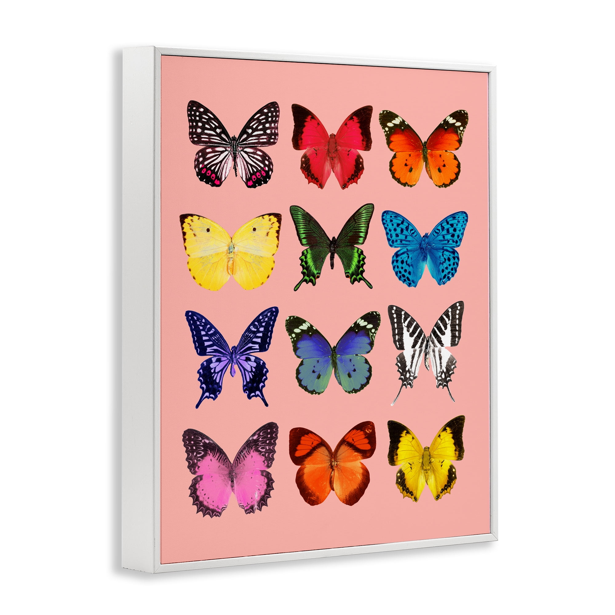 Butterfly Species on Pink White Framed Giclee Art, design by LISH Creative