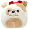 Squishmallows Valentines Squad 5" Brock the Bulldog with Heart Headband