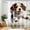Color 4, variant on SPXUBZ 72x72 Inch Funny Animals Group Self Portrait Photo Shower Curtain Set with Hooks, Waterproof Washable Polyester Fabric Bath Curtains for Bathroom Decor