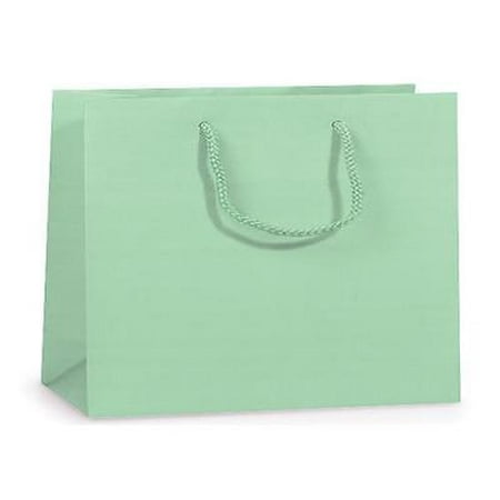 2 Unit Aqua Matte Medium Gift Bags Mini Pk 13x5x10