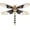 Coffee, variant on Dragonfly Brooch Pin for Women – Crystal Rhinestone Enamel Insect Animal Lapel Pin Vintage Style Jewelry for Dress, Coat, Scarf, Bag