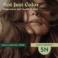 thumbnail image 4 of Herbatint Permanent Haircolor Gel 5N Light Chestnut 1 Box, 4 of 5