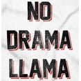 thumbnail image 2 of No Drama Llama Alpaca Chill Relaxed Toddler Boy Girl T Shirt Infant Toddler Brisco Brands 4T, 2 of 6