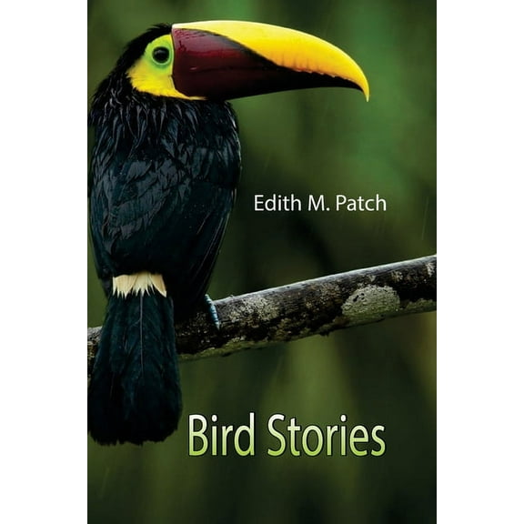 Bird Stories, (Paperback)