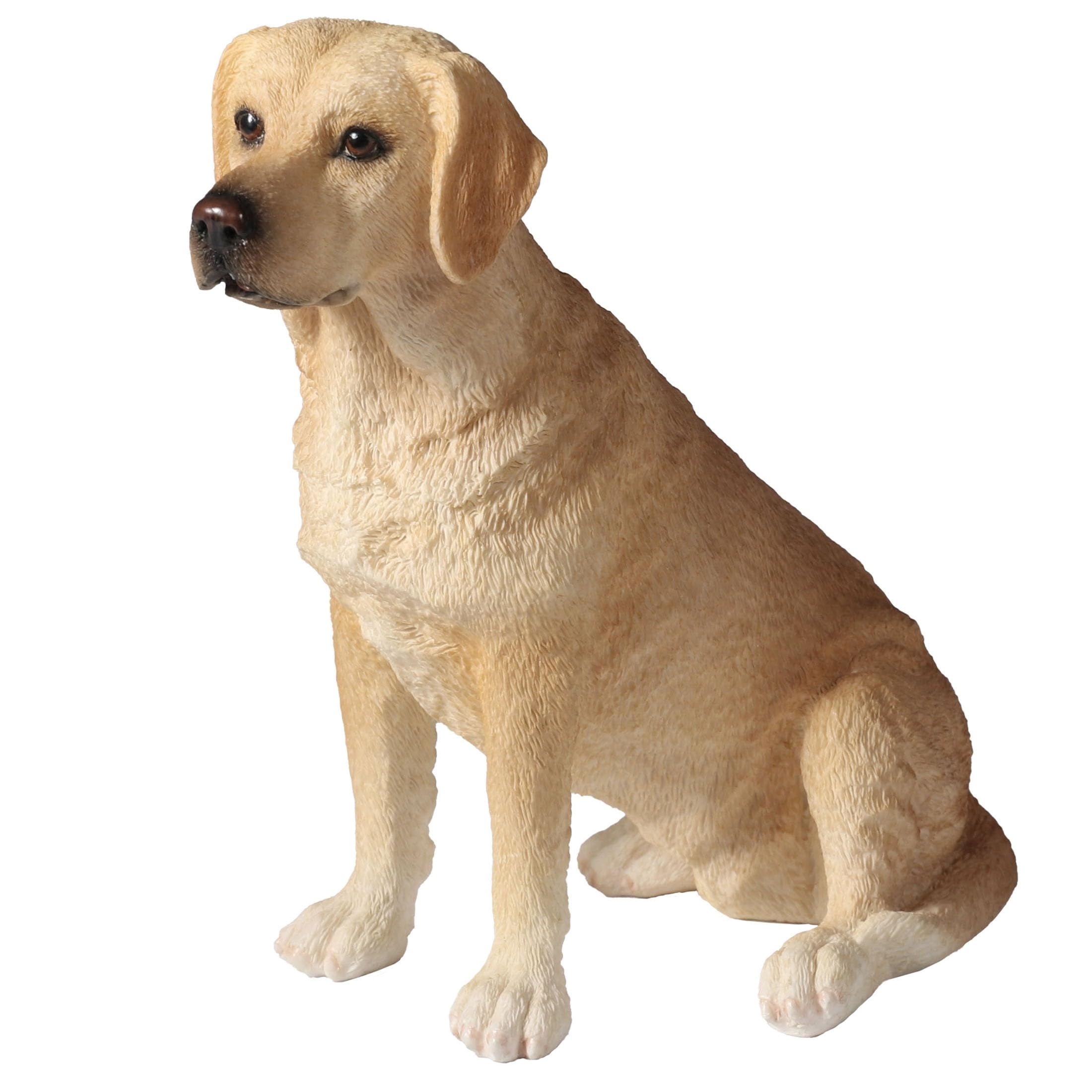 Sandicast 