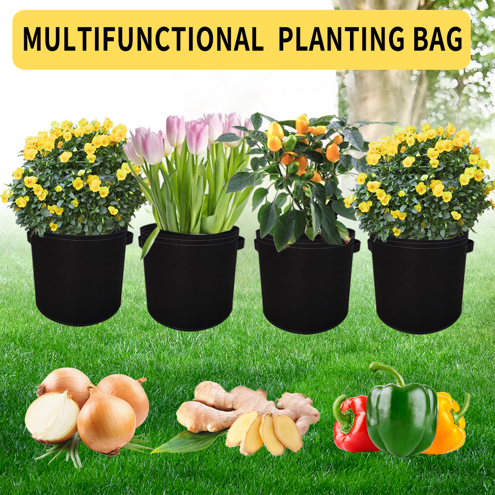What are the Benefits of Using Grow Bags for Plants? | IFFCO BAZAR