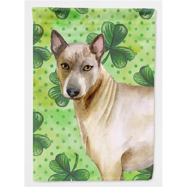 Carolines Treasures BB9854GF Thai Ridgeback St.Patricks Flag - Garden Size