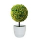 thumbnail image 2 of Farfi Bonsai artificial Lifelike No desvanecimiento Plastic Simulación Plantas Flores Decoración para mesa Farfi 21006281, 2 of 6