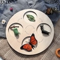 thumbnail image 2 of Montessori Animal Growth Cycle Educational Open-ended Toy Animals SLife Cycle Board Set Lifestyle Stages Kids Teaching Tools heqiyong LED, 2 of 2