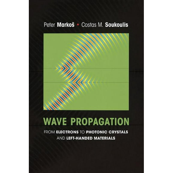 Wave Propagation: From Electrons to Photonic Crystals and Left-Handed Materials, (Hardcover)