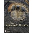thumbnail image 1 of Plus de Fossiles Paléozoïques, 1 of 1