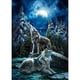 thumbnail image 1 of Taladro Pintura Diamante (DE4120) 5D DIY Lobos Completos Punto de Cruz Bordado Artesanía (E) 45x60cm FLhrweasw Nuevo, 1 of 1