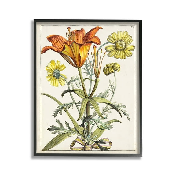 Stupell Industries Flowers Latin Study Botanical & Floral Painting Black Framed Art Print Wall Art, 11 x 14
