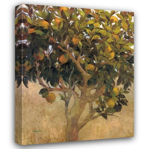 J. Ripoll 26x32 Gallery Wrapped Canvas Wall Art Titled - Limonero