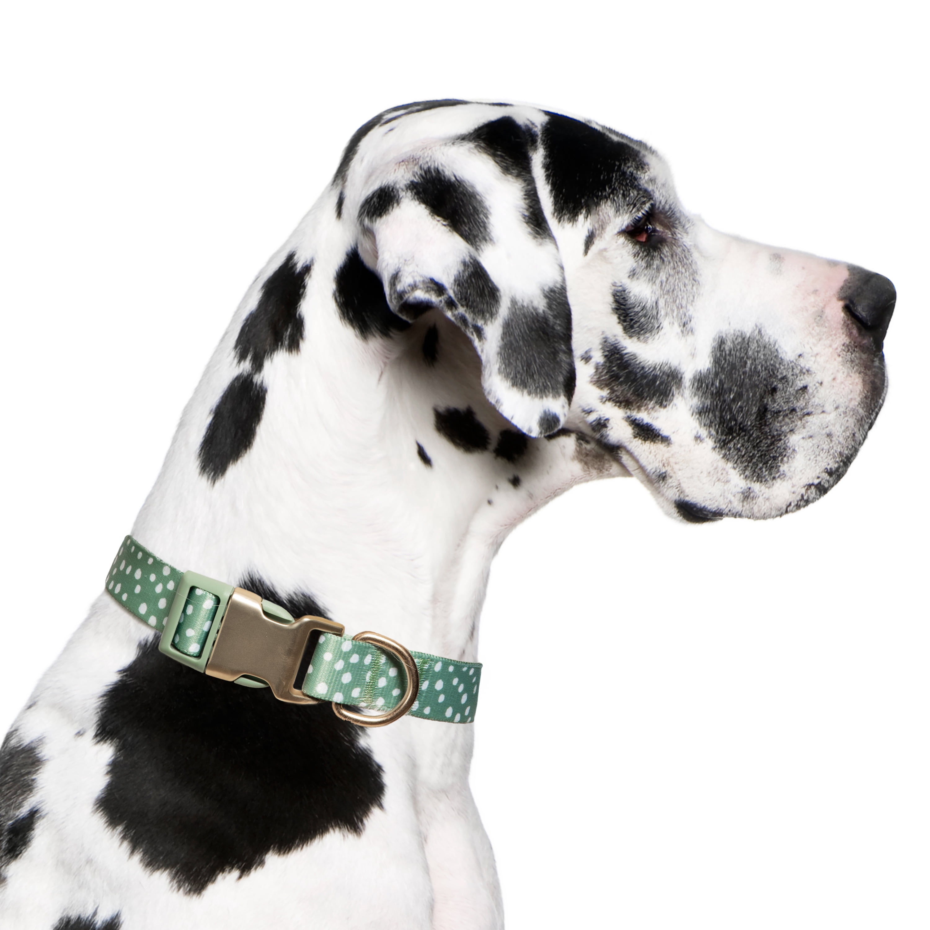 Vibrant Life Polka Dot Print Fashion Dog Collar, Green, XL