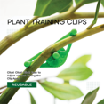 thumbnail image 3 of 20Pack Plant Clips -Adjustable Low Stress Training Plant Support Clips for Plant Training Stem Support Grow Tent Green, 3 of 9