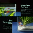 LAQUAL Starter Kit 3 Gallon Ultra Clear Glass Fish Tank for Betta