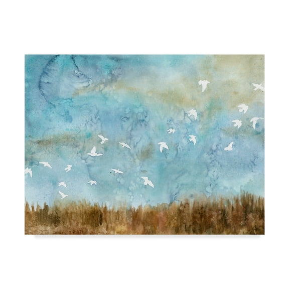 Trademark Fine Art 'Birds in Flight I' Canvas Art by Megan Meagher